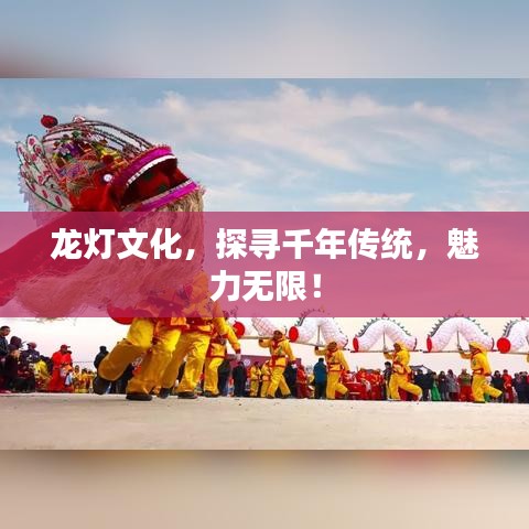 合作加盟 第84页