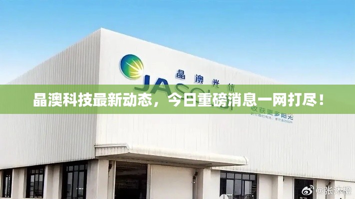 晶澳科技最新动态，今日重磅消息一网打尽！