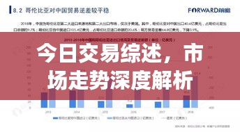今日交易综述，市场走势深度解析