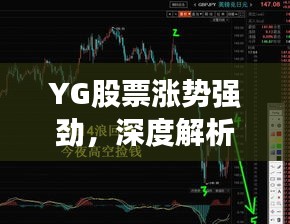 YG股票涨势强劲，深度解析市场机会与投资建议