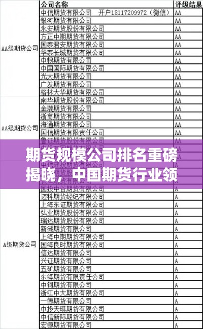 期货规模公司排名重磅揭晓，中国期货行业领军企业一览