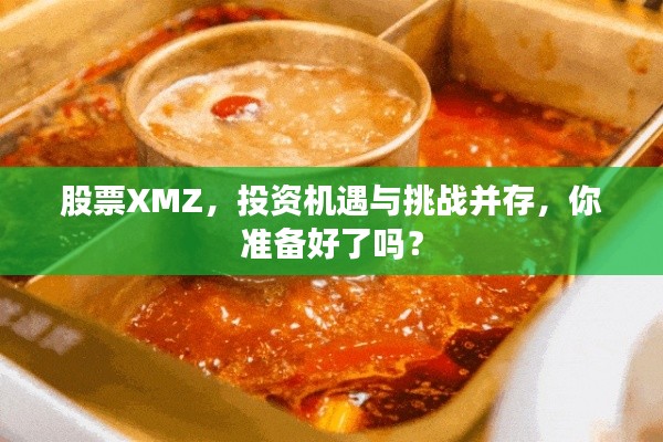 股票XMZ，投资机遇与挑战并存，你准备好了吗？