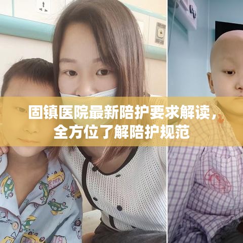 固镇医院最新陪护要求解读，全方位了解陪护规范
