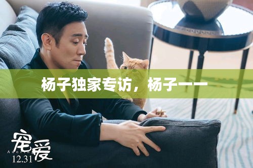 甄繁就简