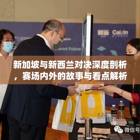 新加坡与新西兰对决深度剖析，赛场内外的故事与看点解析
