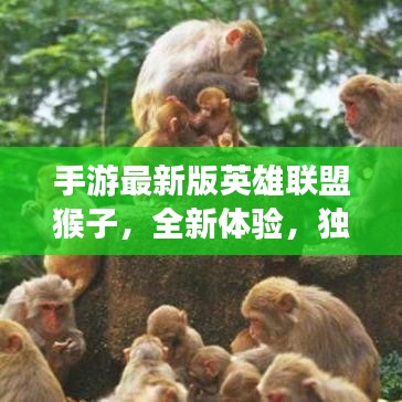 美如冠玉