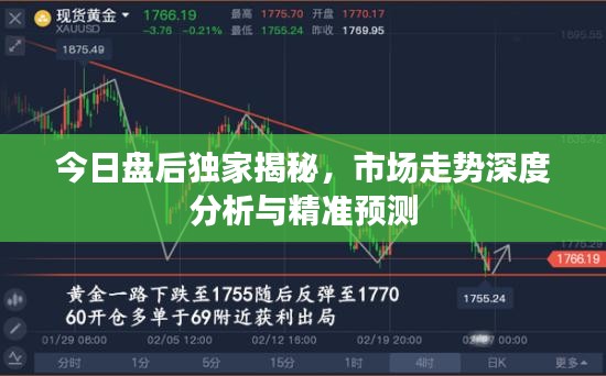 今日盘后独家揭秘，市场走势深度分析与精准预测