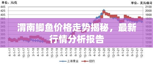 渭南鲫鱼价格走势揭秘，最新行情分析报告