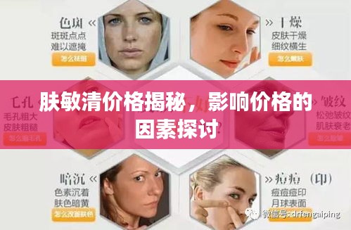 肤敏清价格揭秘，影响价格的因素探讨