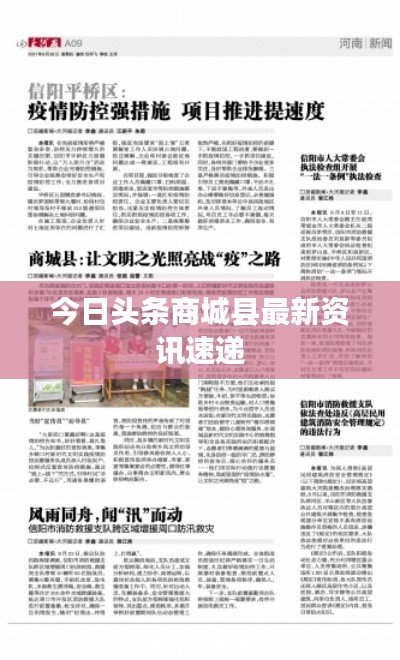 洵属可贵