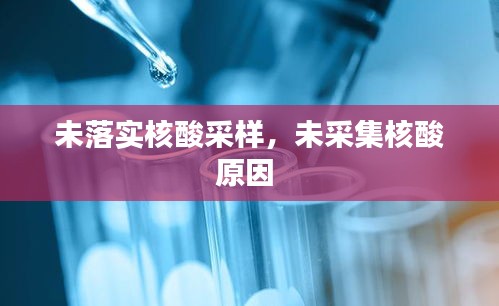 炊粱跨卫