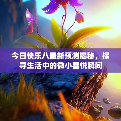 今日快乐八最新预测揭秘，探寻生活中的微小喜悦瞬间