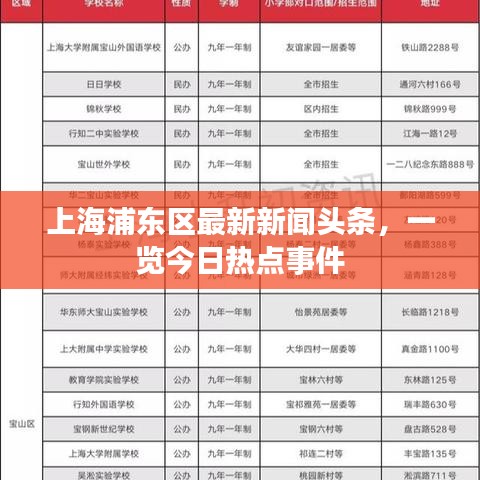 上海浦东区最新新闻头条，一览今日热点事件
