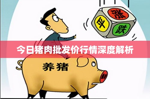 今日猪肉批发价行情深度解析