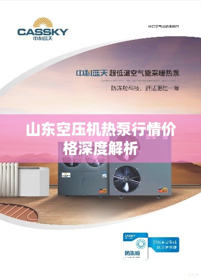 山东空压机热泵行情价格深度解析