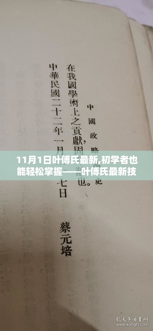 叶傅氏最新技能学习全攻略，初学者也能轻松掌握的详细步骤指南