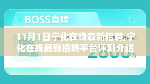 宁化在线最新招聘平台评测及招聘信息概览