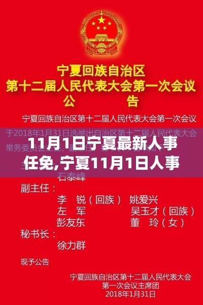 宁夏11月1日人事任免揭晓，开启新篇章，时代新纪元启航