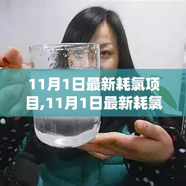 11月1日最新耗氯项目全面评测与介绍