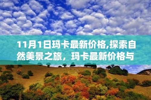 探索自然美景与内心宁静之旅，玛卡最新价格及超值购物指南