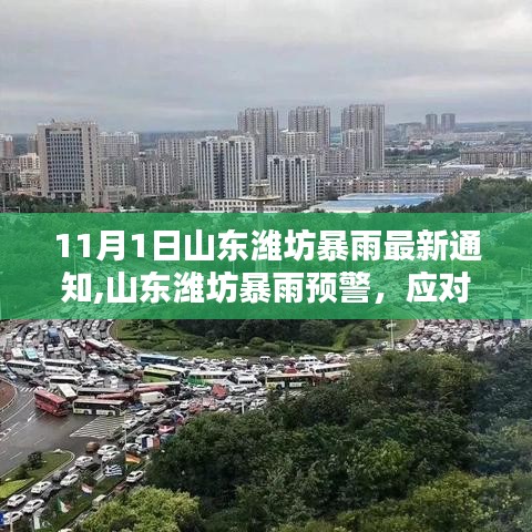 山东潍坊暴雨预警及应对行动指南，暴雨来袭的最新通知与应对指南