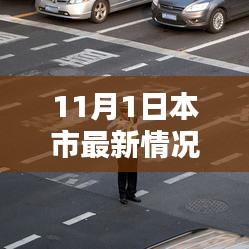 11月1日本市深度解析，最新动态与情况汇报