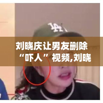 刘晓庆要求男友删除吓人视频，公众人物的互联网内容态度与影响分析