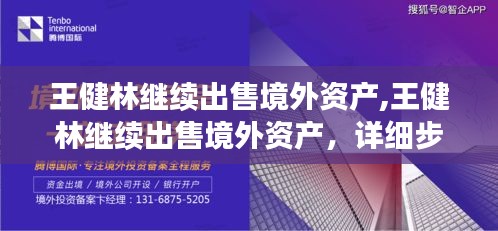 王健林境外资产出售策略，步骤指南与持续行动解析