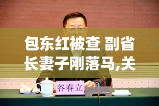 关于包东红被查及其副省长妻子落马的深度分析与解读