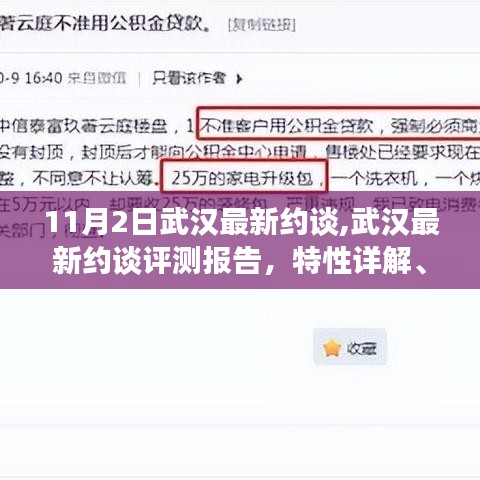 武汉最新约谈评测报告，特性详解、体验、竞品对比及用户群体深度解析