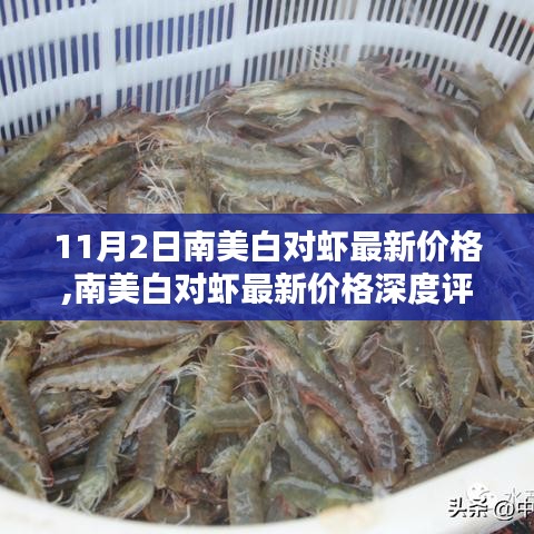 南美白对虾最新价格深度解析与介绍，11月2日行情报告