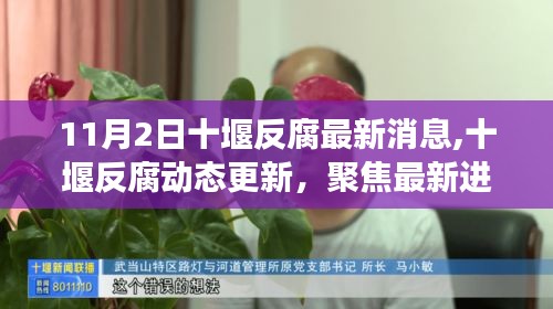 十堰反腐动态更新聚焦，最新进展与深度解读（11月2日版）