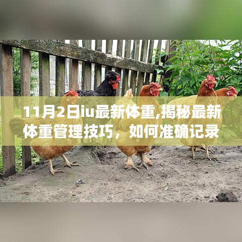 揭秘IU最新体重管理技巧，如何准确记录并管理体重至理想状态（附IU 11月2日最新体重）