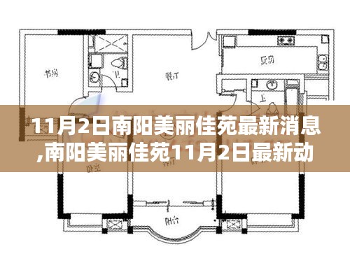 南阳美丽佳苑11月2日最新动态解析，掌握关键信息速递