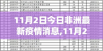 揭秘非洲最新疫情动态，防控进展与关怀同行（11月2日最新消息）