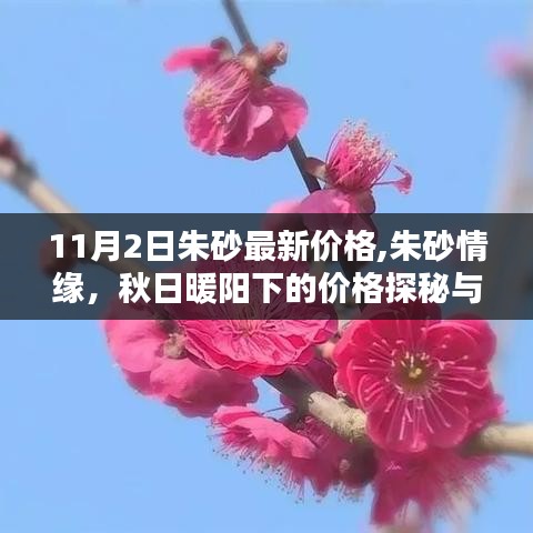 朱砂情缘揭秘，秋日暖阳下的价格探秘与友情绽放日（最新价格更新）