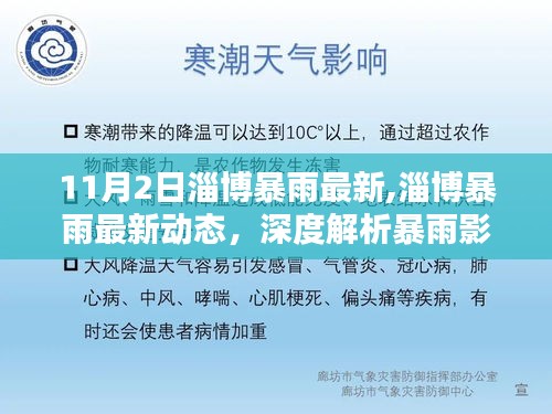 淄博暴雨最新动态解析，影响、应对措施及深度观察（11月2日更新）