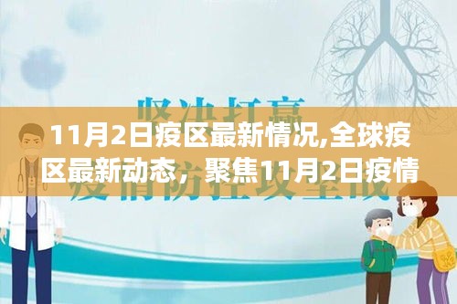 全球疫情最新动态，聚焦11月2日进展报告与疫区最新情况分析