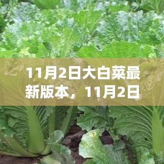 11月2日大白菜最新版本特性及种植指南