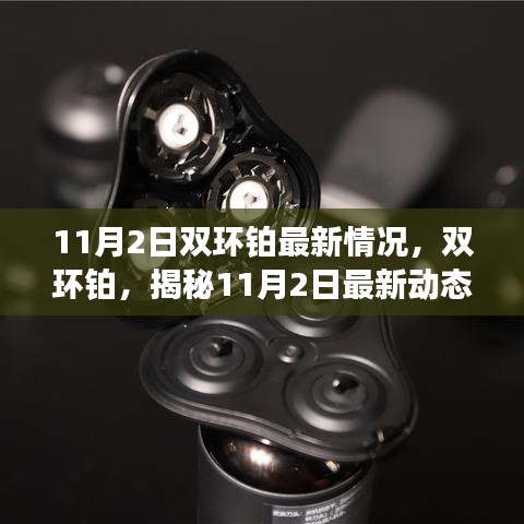 双环铂最新动态，揭秘其在特定领域的地标性影响及进展（11月2日更新）