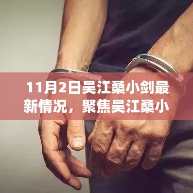 吴江桑小剑最新进展深度解读，聚焦11月2日最新情况（11月2日版）