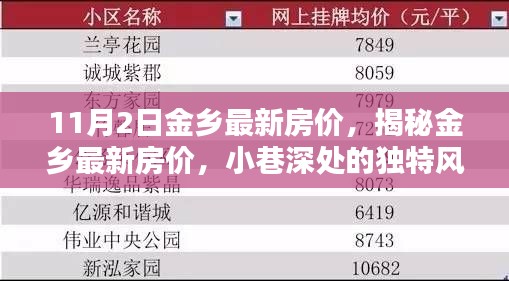 揭秘金乡最新房价动态，小巷深处的独特风情与隐藏宝藏（11月2日最新数据）