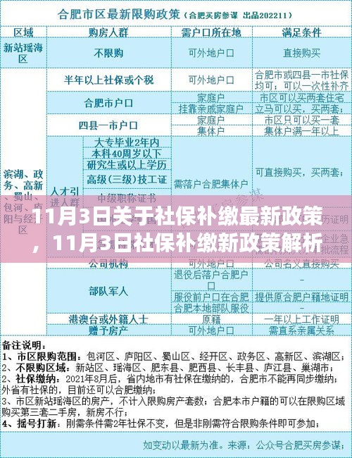 社保补缴最新政策解析及某某观点探讨（11月3日版）