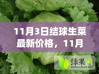 11月3日结球生菜最新价格，新鲜资讯揭示市场动态