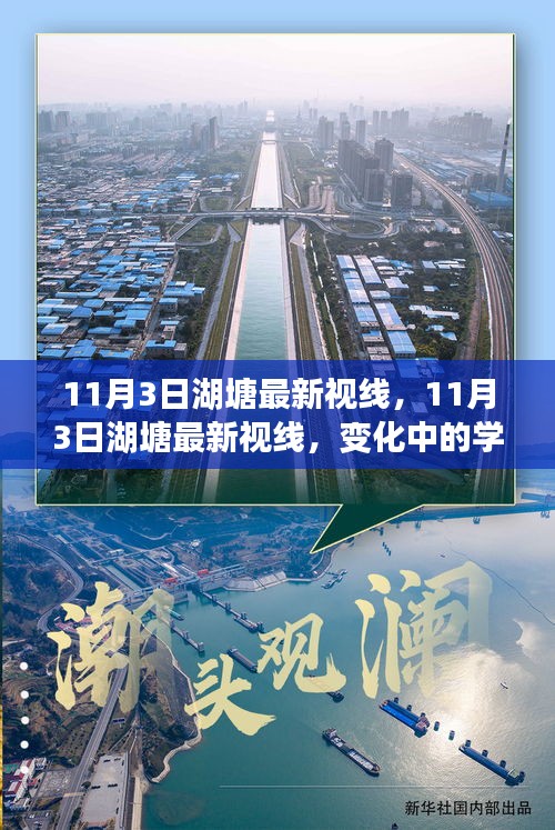 11月3日湖塘最新视线，变化中的学习之旅，自信与成就感的源泉