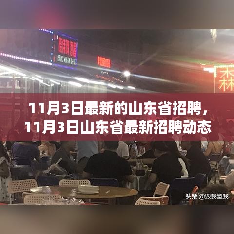 山东省最新招聘动态揭秘，职场机会一网打尽（11月3日更新）