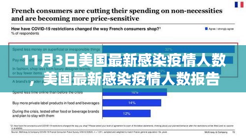 美国最新感染疫情报告，聚焦深度分析，揭示11月3日数据背后的真相