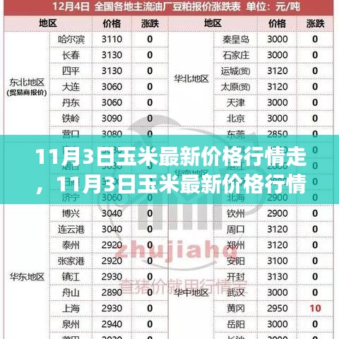 深度解析，11月3日玉米最新价格行情走势及市场波动背后的原因