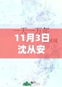 揭秘沈从安与顾倾城情感纠葛，最新章节专述（11月3日更新）