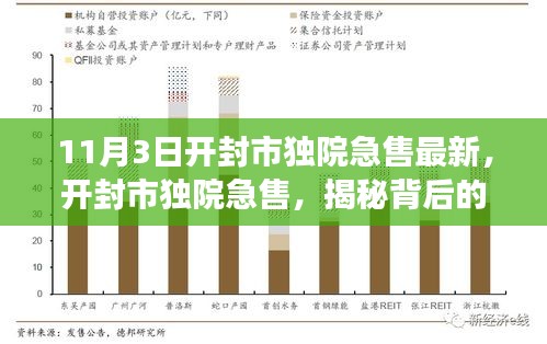 开封市独院急售背后的故事与时代印记揭秘，最新急售信息速递